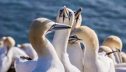 你牛什么牛歌-你牛什么牛歌名